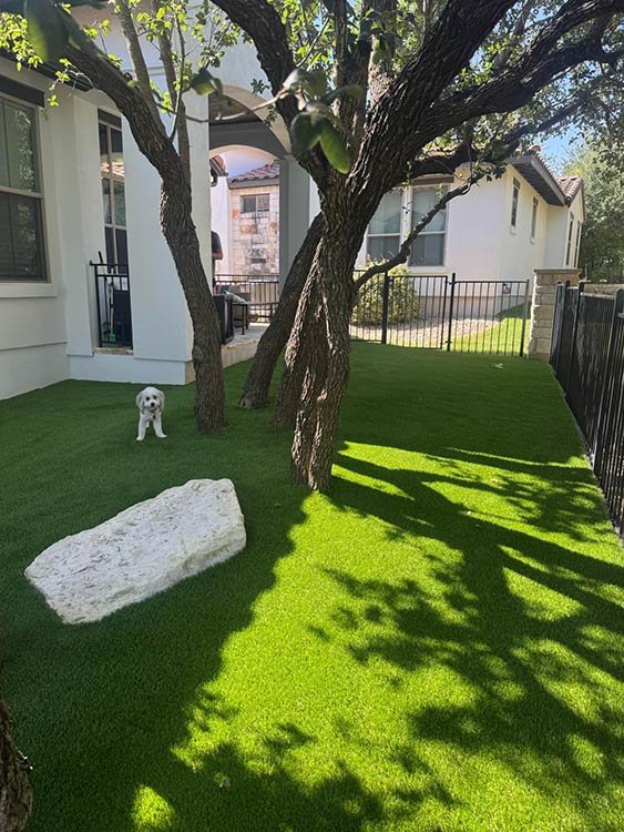 Pet turf installation for dogs